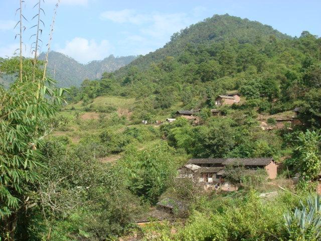 大草壩自然村(雲南省墨江縣新安鄉大草壩自然村)