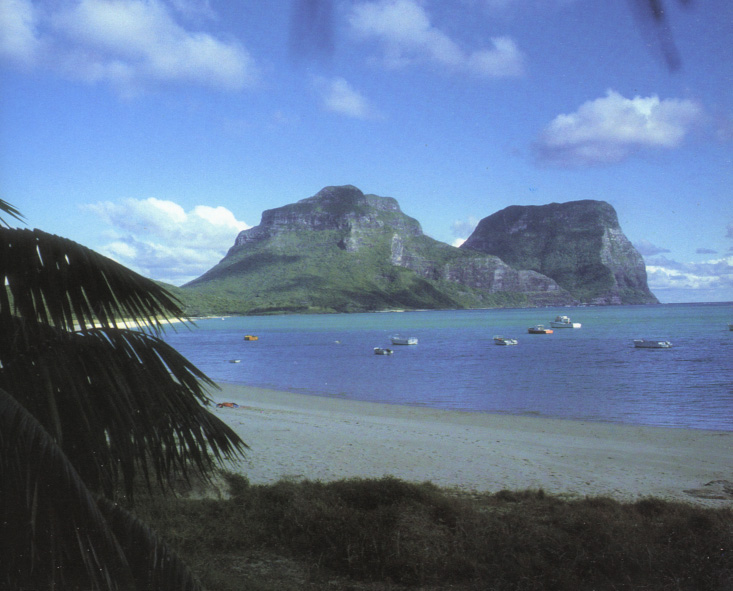 豪勳爵群島主島