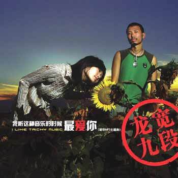 我聽這種音樂的時候最愛你(2004年龍寬九段發行專輯)