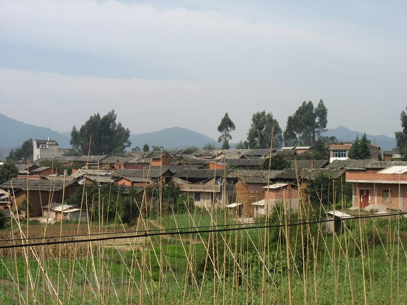 林村村(廣東省東莞市塘廈鎮林村村)