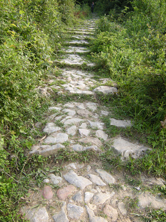 川黔古道簡家坡段