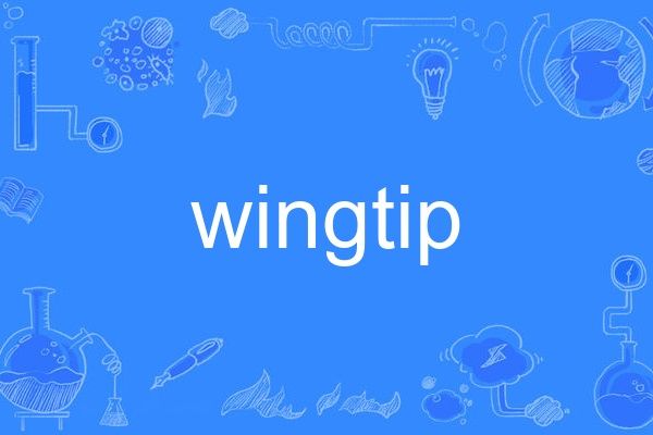 wingtip