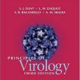 Principles of Virology(Flint,S.J.Enquist,L.W.Racaniello,V.R.Skalka,A.M著圖書)