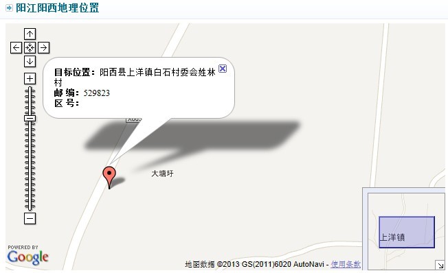 陽西縣上洋鎮白石村委會姓林村地圖