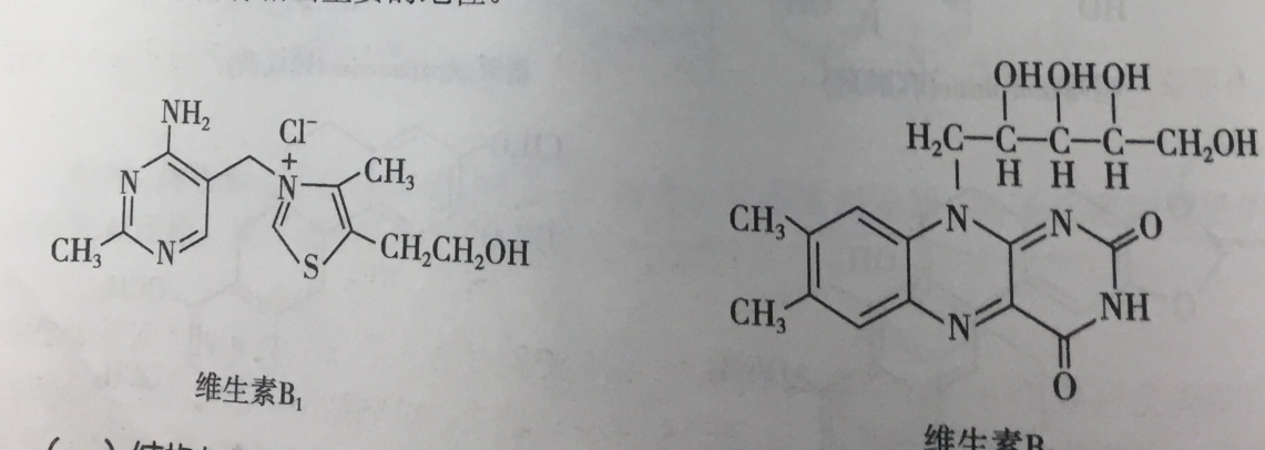 維生素B1/B2的結構