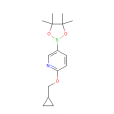 2-（環丙基甲氧基）-5-（4,4,5,5-四甲基-1,3,2-二雜氧戊硼烷-2-基）吡啶