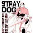 STRAY DOG