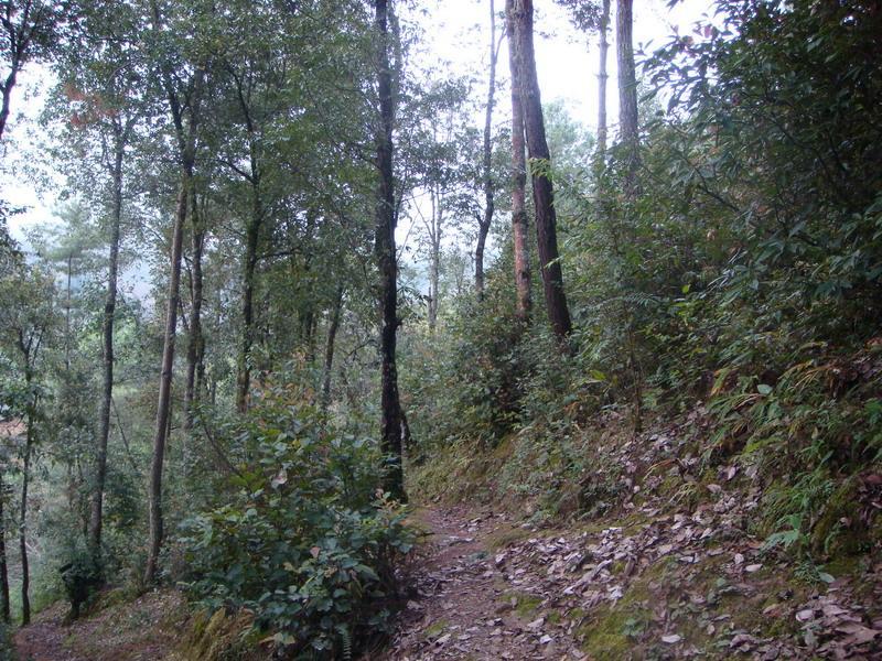 雞嘴山自然村