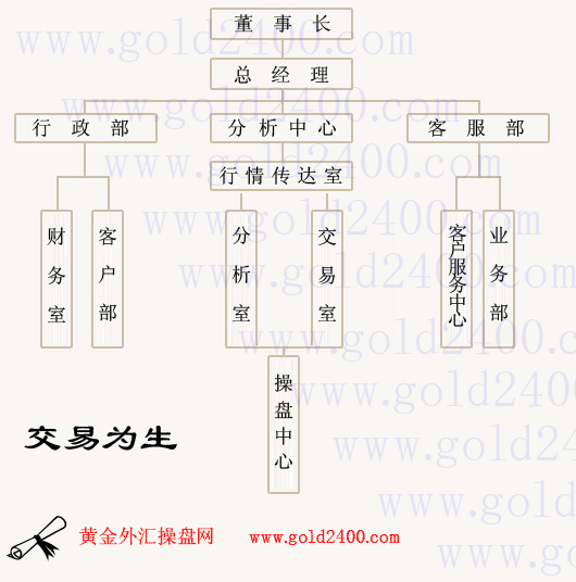 黃金外匯2400網組織結構圖