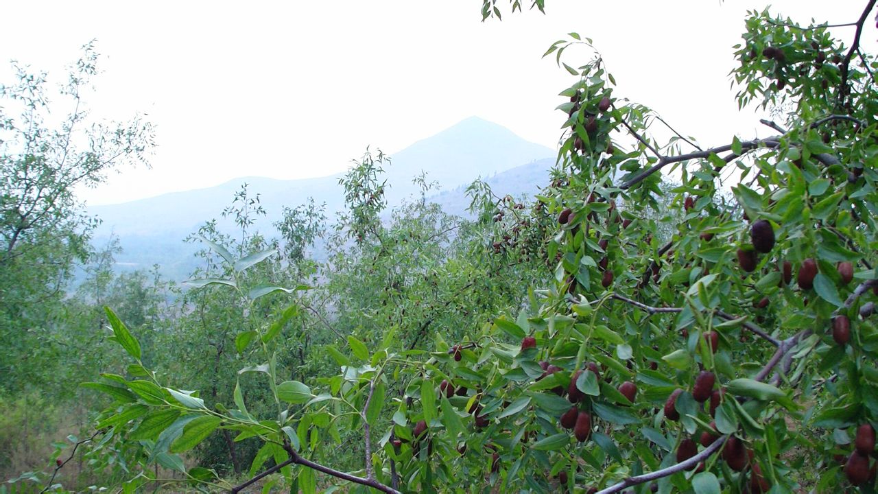 陰平鎮