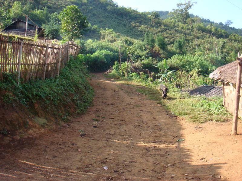 彎崗老寨自然村的進村道路