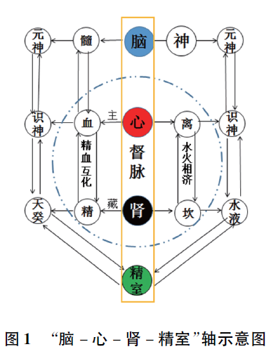 精室濕熱瘀滯