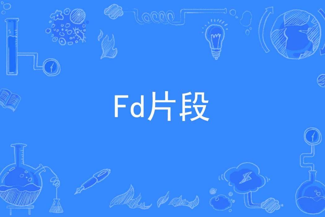 Fd片段