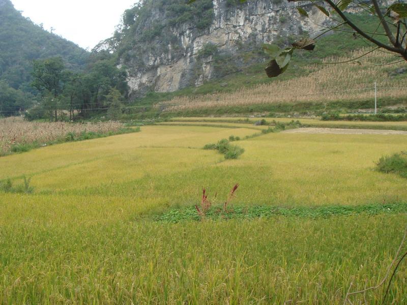 里睦中寨村