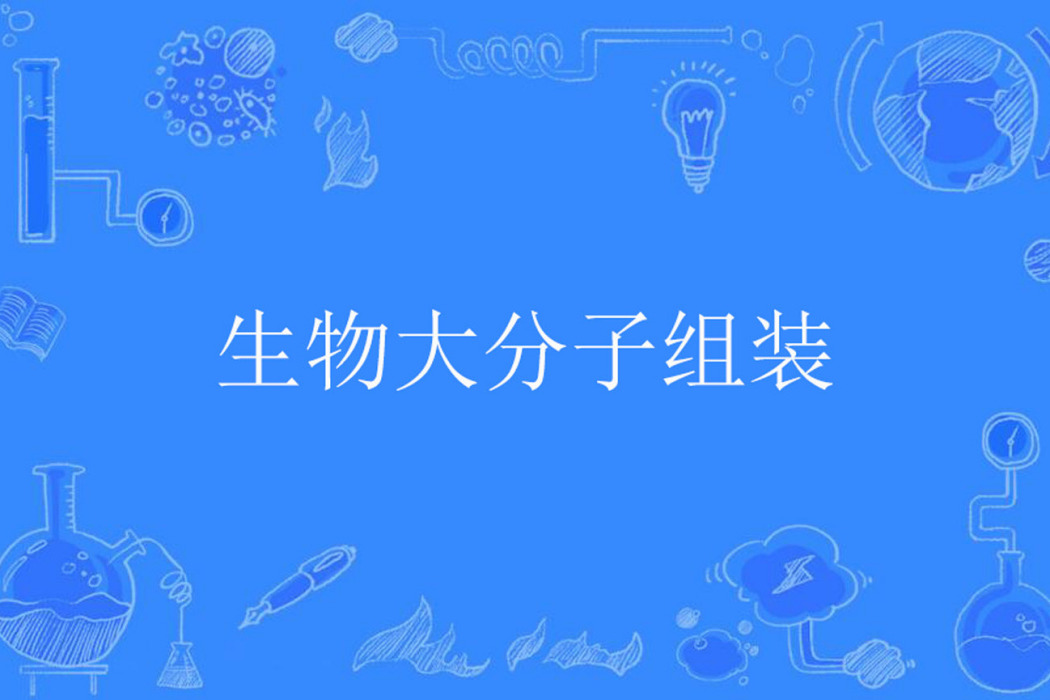 生物大分子組裝