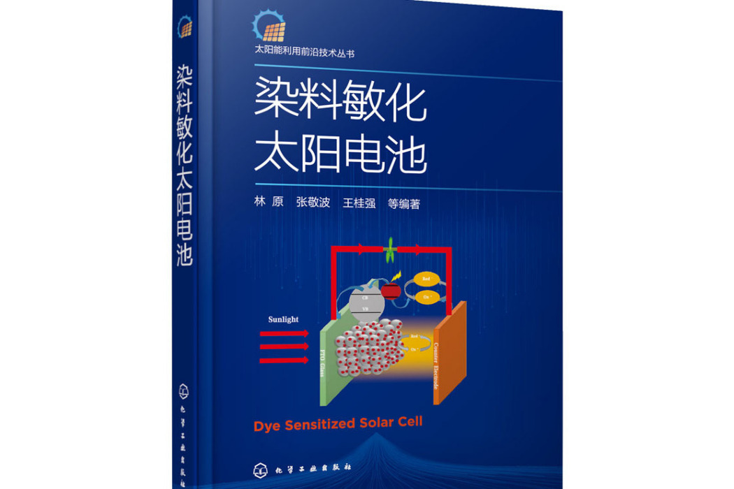 染料敏化太陽電池(2021年化學工業出版社出版的圖書)