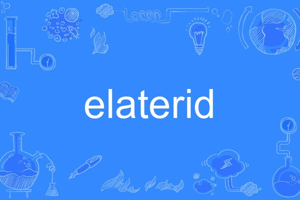 elaterid