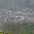 橫路村(雲南省德宏梁河縣九保阿昌族鄉下轄村)