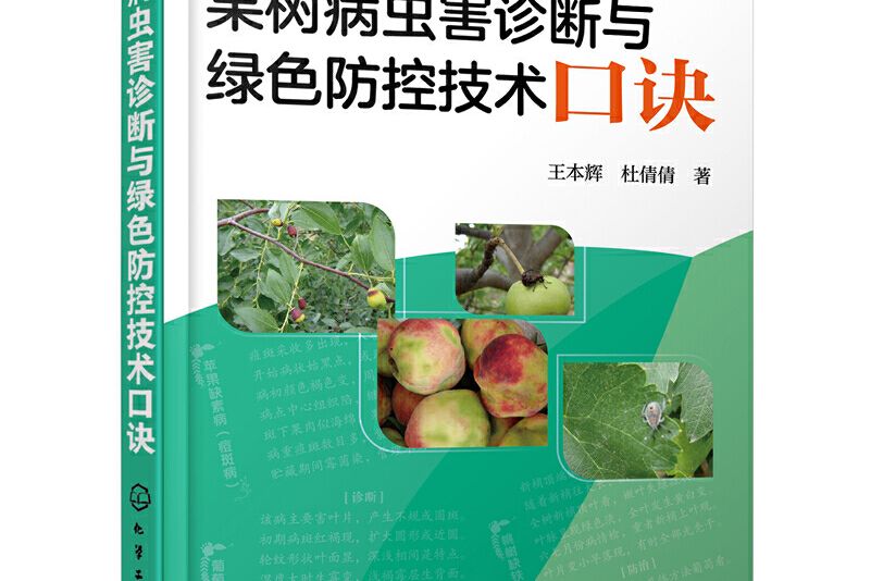 果樹病蟲害診斷與綠色防控技術口訣