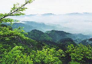 信陽市雞公山景區