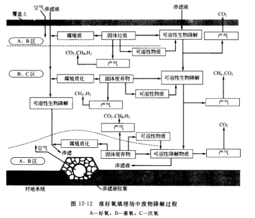 圖4準好氧填埋場中廢物降解過程