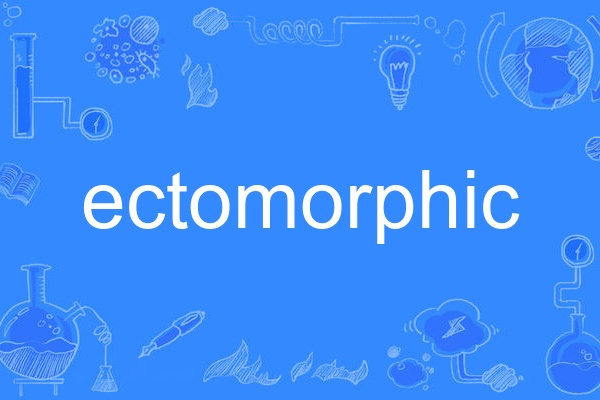 ectomorphic