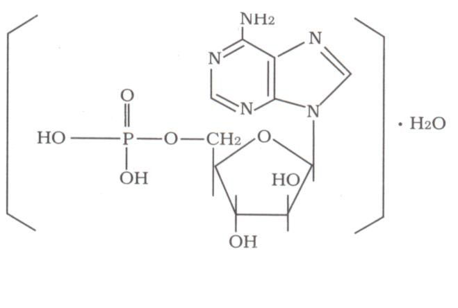 單磷酸阿糖腺苷