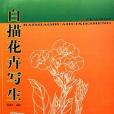 白描花卉寫生(2008年天津人美出版的圖書)