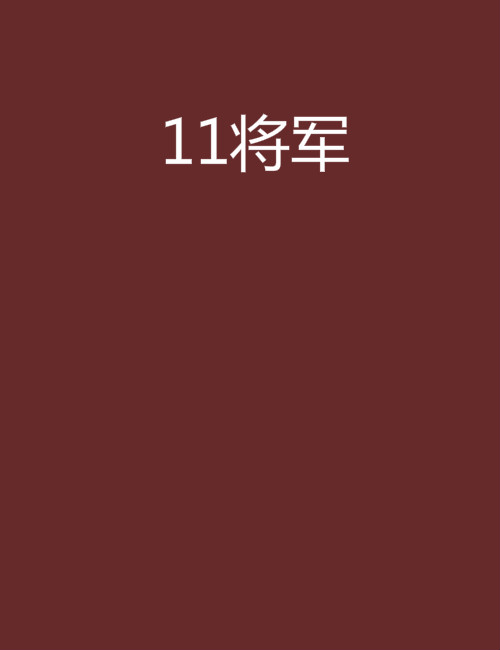 11將軍