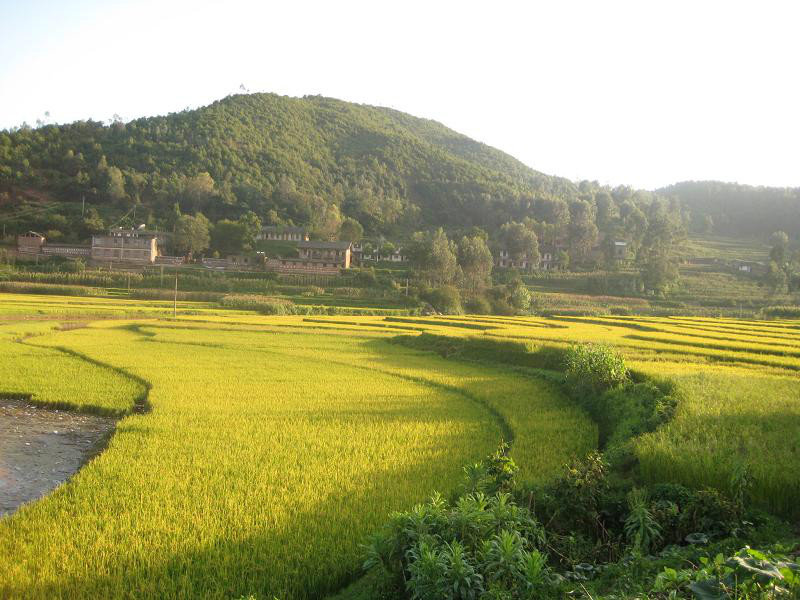 對門山村(雲南省楚雄雙柏縣法脿鎮法脿村委會對門山村)