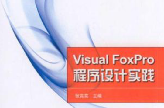 Visual FoxPro程式設計實踐