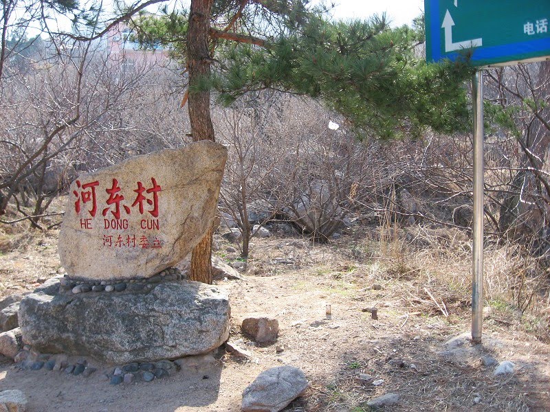 河東村(雲南省曲靖陸良縣板橋鎮河東村委會)