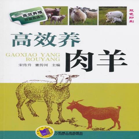 高效養肉羊(2015年機械工業出版社出版的圖書)