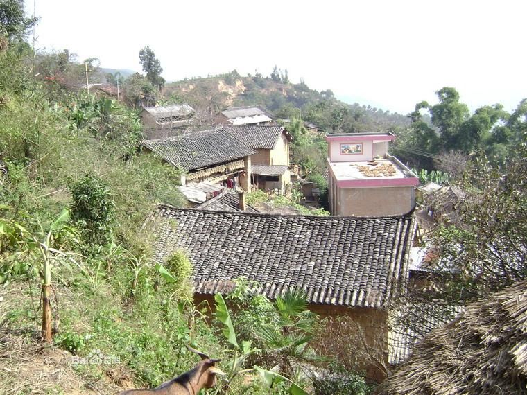 平掌村(雲南省臨滄臨翔區馬台鄉下轄村)