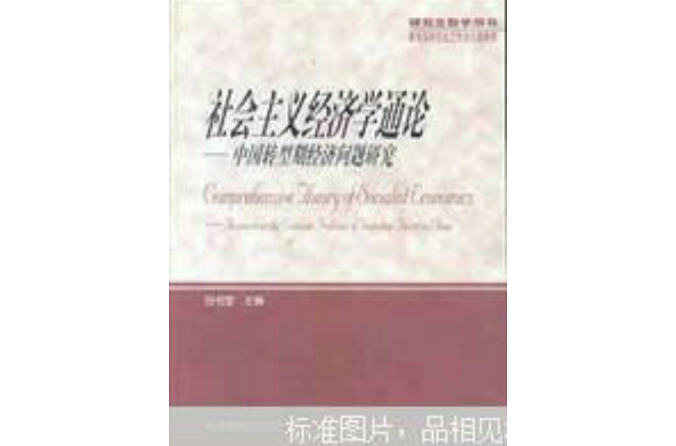 社會主義經濟學通論：中國轉型期經濟問題研究