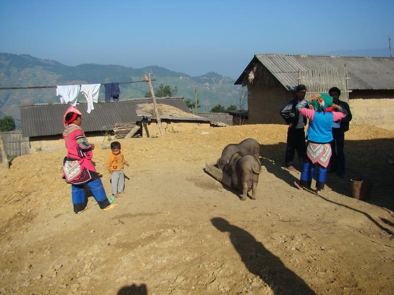 阿底簸新寨村