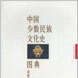 中國少數民族文化史圖典·第7卷（下）