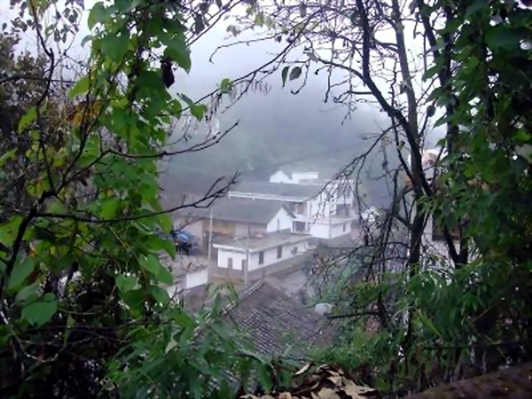 新莊科村(2、雲南省曲靖市師宗縣五龍鄉新莊科村)