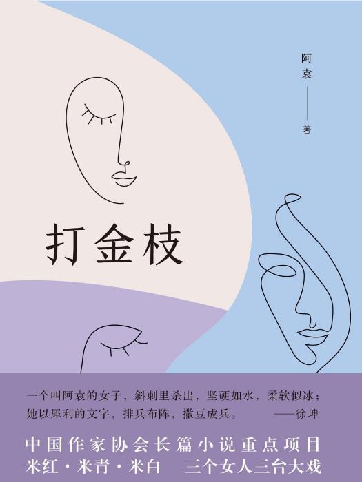 打金枝(2019年廣西師範大學出版社出版的圖書)