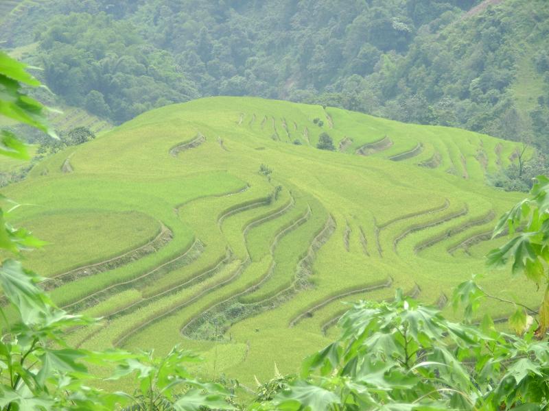 余洞村