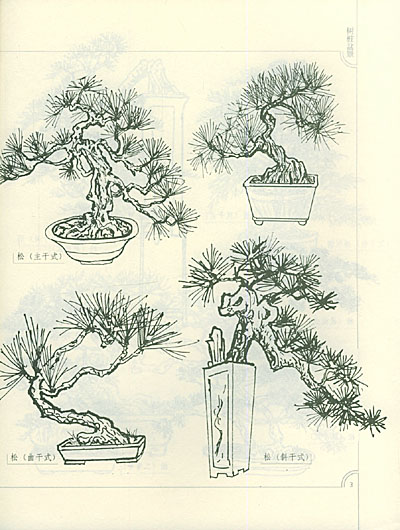 盆景造型藝術資料彙編