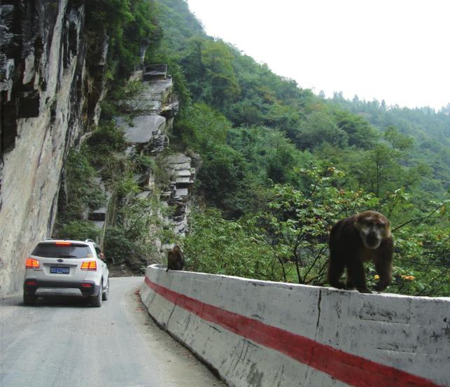 環梵淨山公路