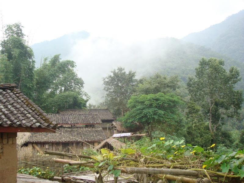 三棵樁村(雲南省西雙版納州景洪市普文鎮三棵樁村)