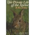 The Private Life of the Rabbit(Buccaneer Books出版的圖書)