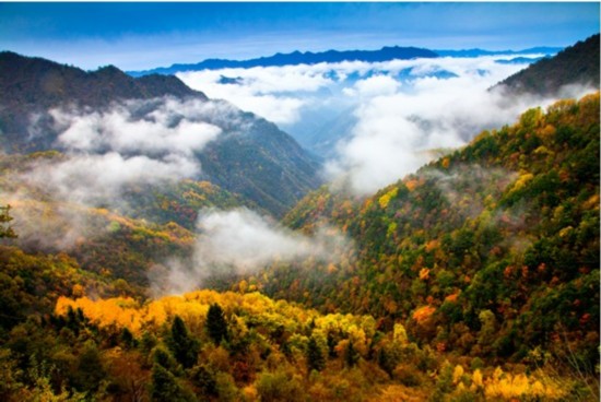 大巴山脈(大巴山主峰)