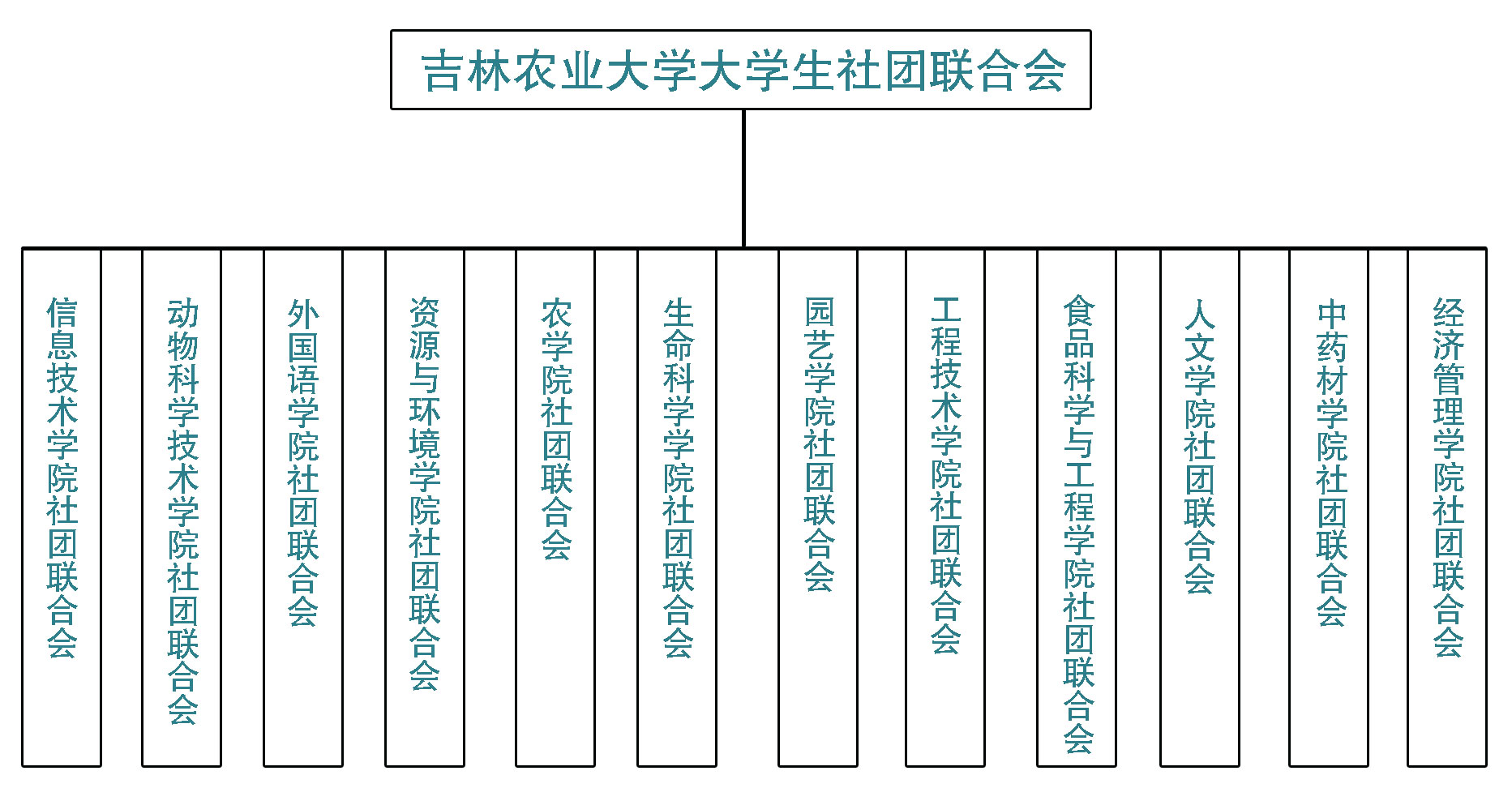 社聯組織結構