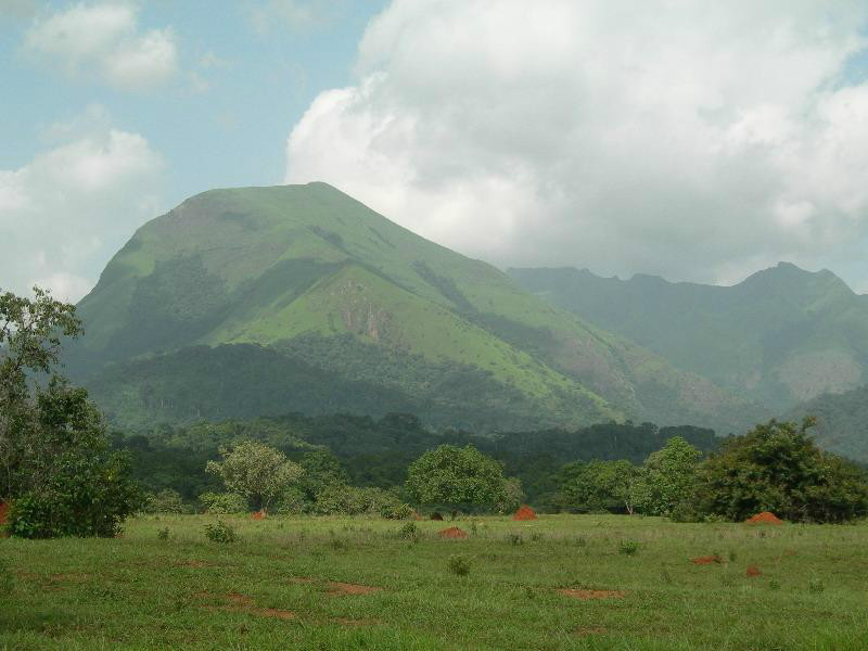 幾內亞(guinea)