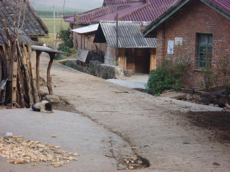 入村道路與民居