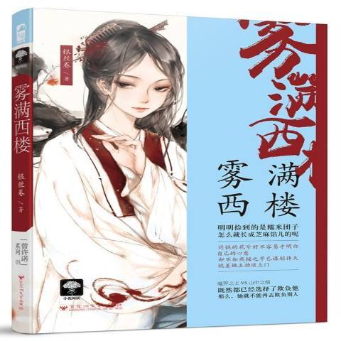 霧滿西樓(2017年百花洲文藝出版社出版的圖書)