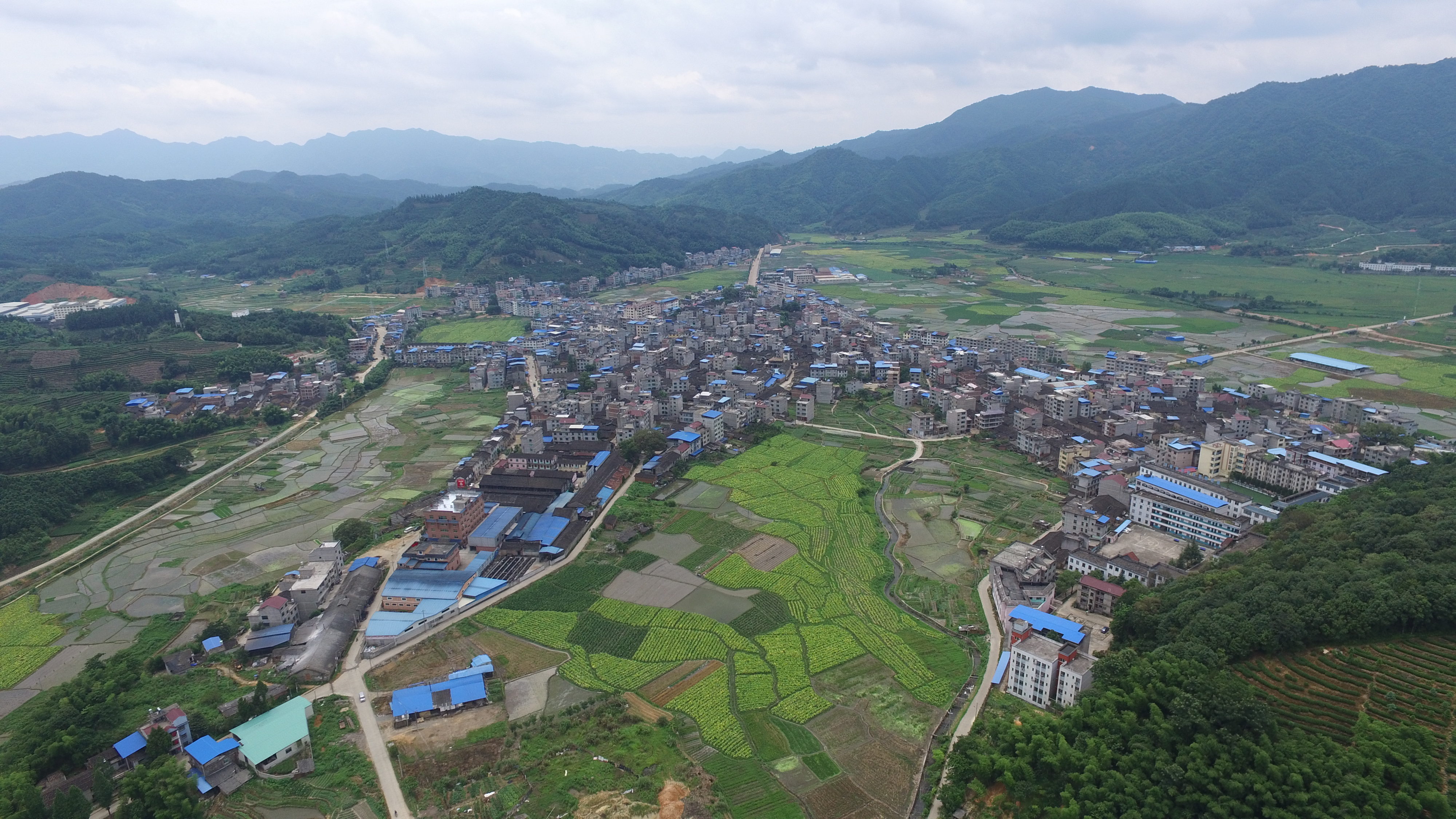 東平鎮(福建省政和縣東平鎮)